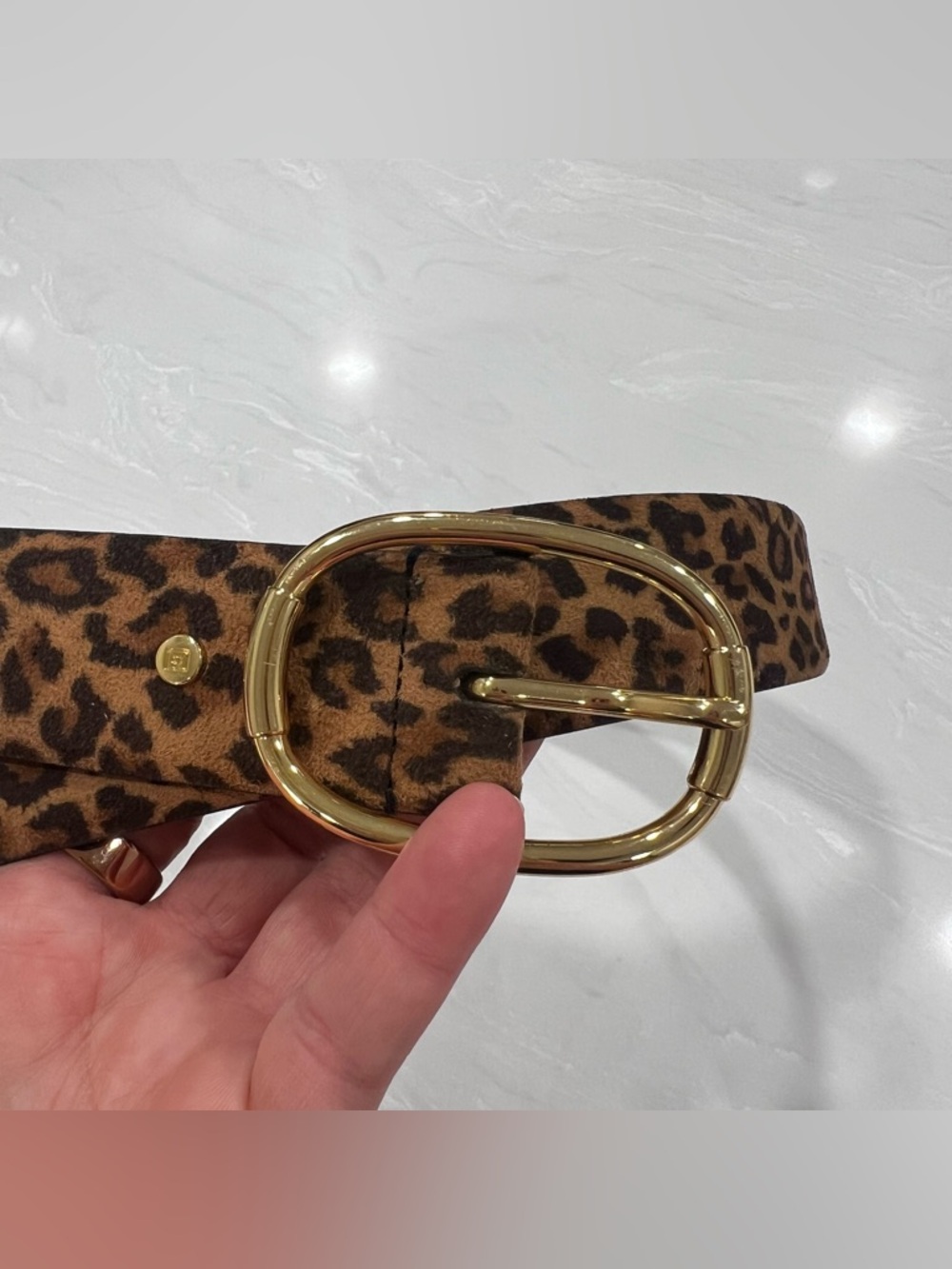 CHAPS Leopard Print Gold Buckle Women’s Belt Size Large